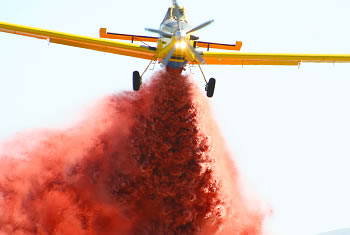 fleet1 Air Tractor AT802